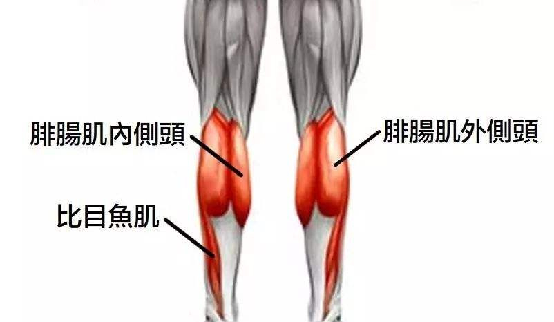 小腿線條出不來，小腿脂肪減不了？你總會犯下4個錯誤