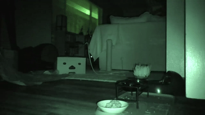 女孩睡著後被貓打了4個小時，但小貓咪可能沒什麽壞心思