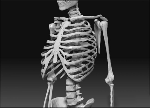 关于ZBrush骨骼建模你会多少？这里有详细的骨骼建模教程，瞅瞅？