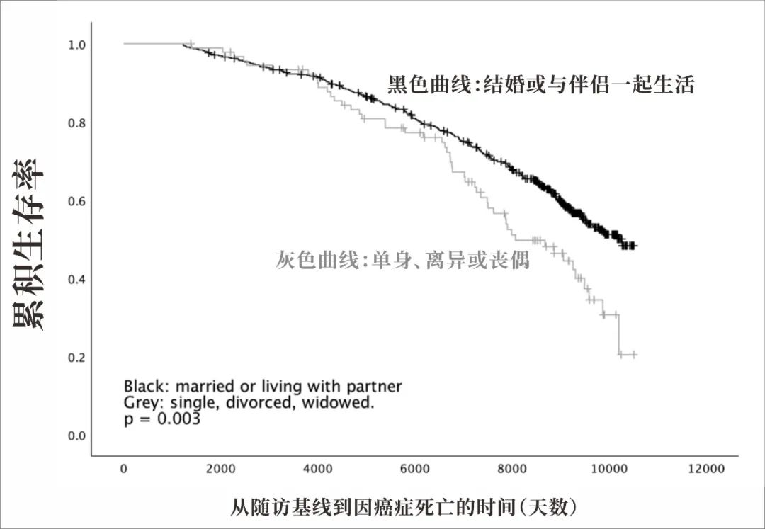 研究表明，单身男性更易患癌症，而且患癌后死亡率更高