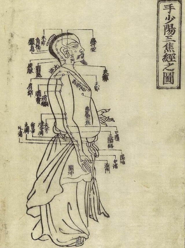 厉害，广西被称中国天然药库，多家医院获自治区中医药考评一等奖