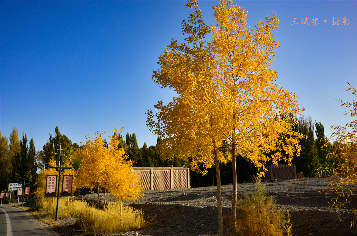 ��һ����˵�����������ȥ���ؾ����������鵽��