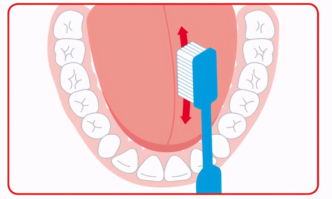牙齿会越刷越糟吗？专家提醒：学习正确的刷牙方法更重要
