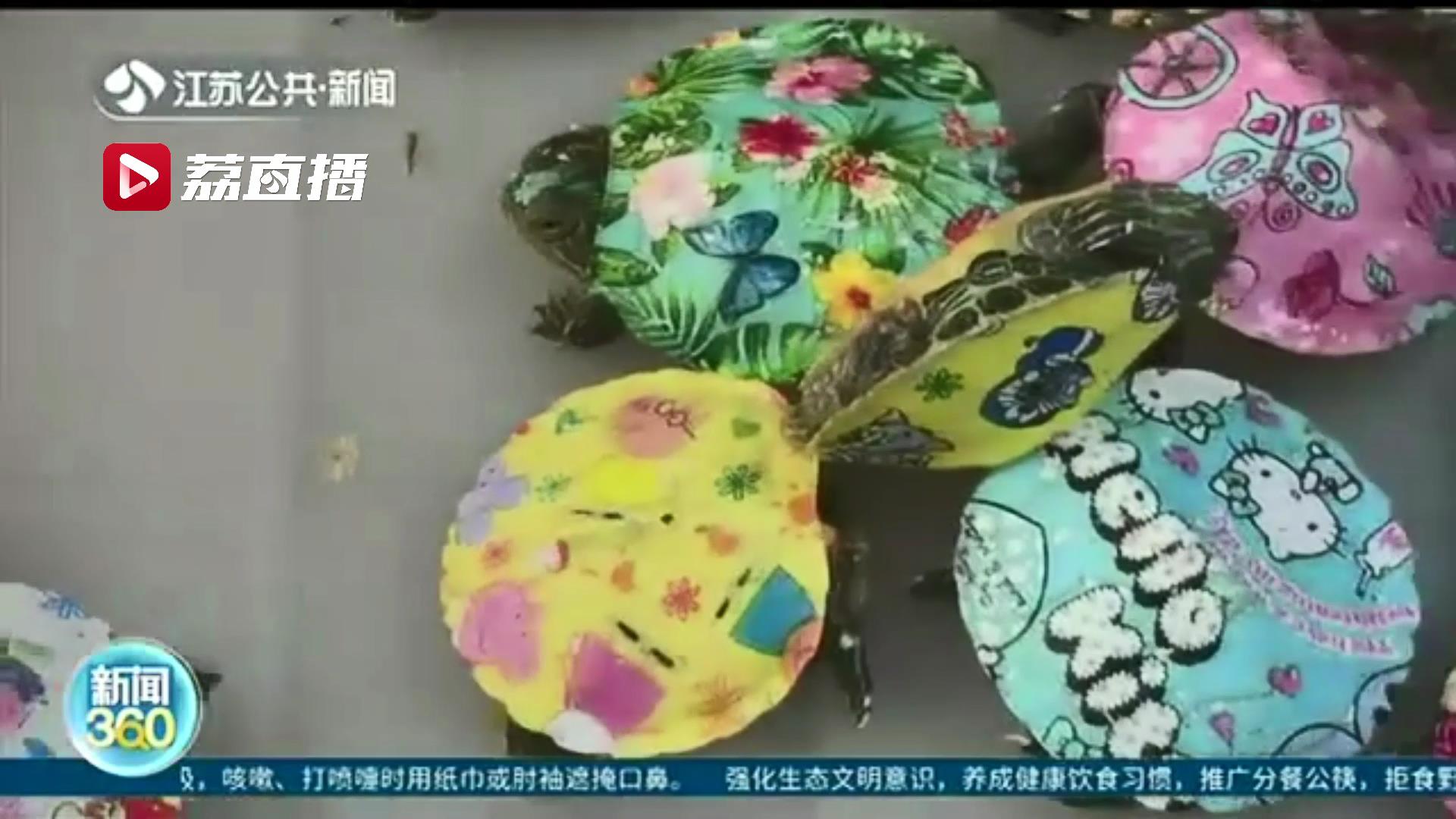 谨慎购买彩绘小乌龟！专家提醒：一来涂料有毒，二来它是外来入侵物种