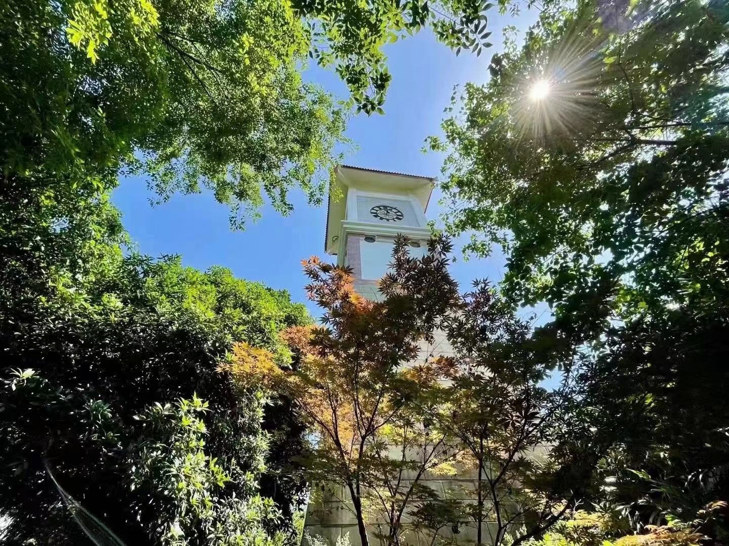 川大附小东山学校——与生命同行，用文化育人