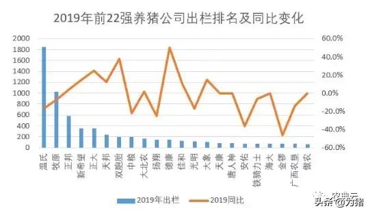 22个猪企2021年出栏规划18967万头，增长142.9%