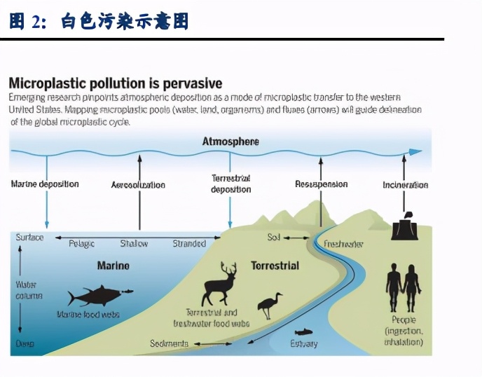 可降解塑料行业专题报告：500亿元市场空间可期