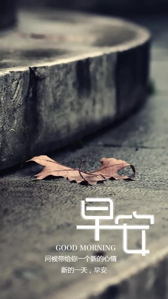 人生如逆水行舟 不进则退 资讯咖