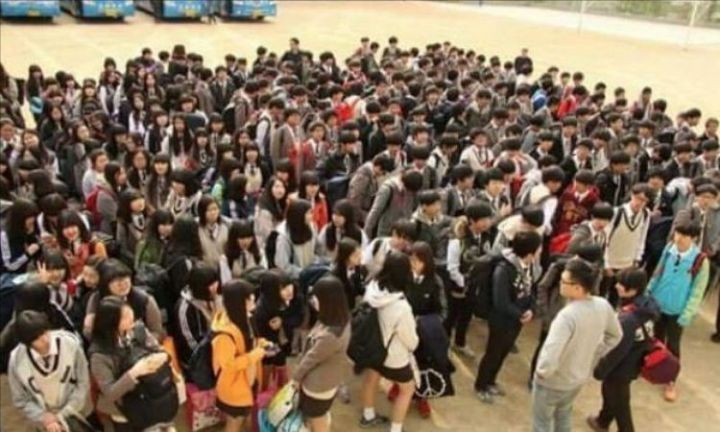 韩国官方为何阻止救援？上海打捞局捞出真相？解密世越号惨案真相