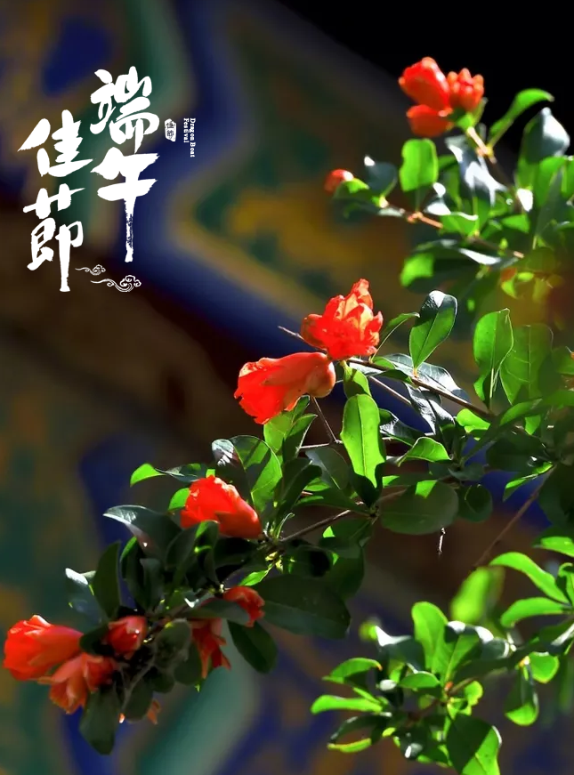 端午的习俗与万般思绪-第16张图片-非凡网