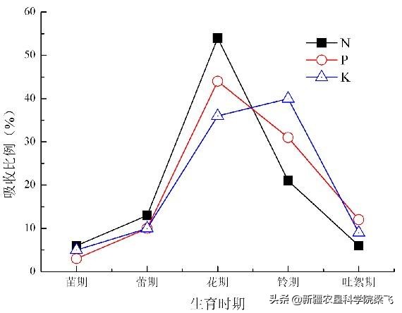 秋施肥中磷肥合理施用必要性及现代农业技术如何高效施磷肥？