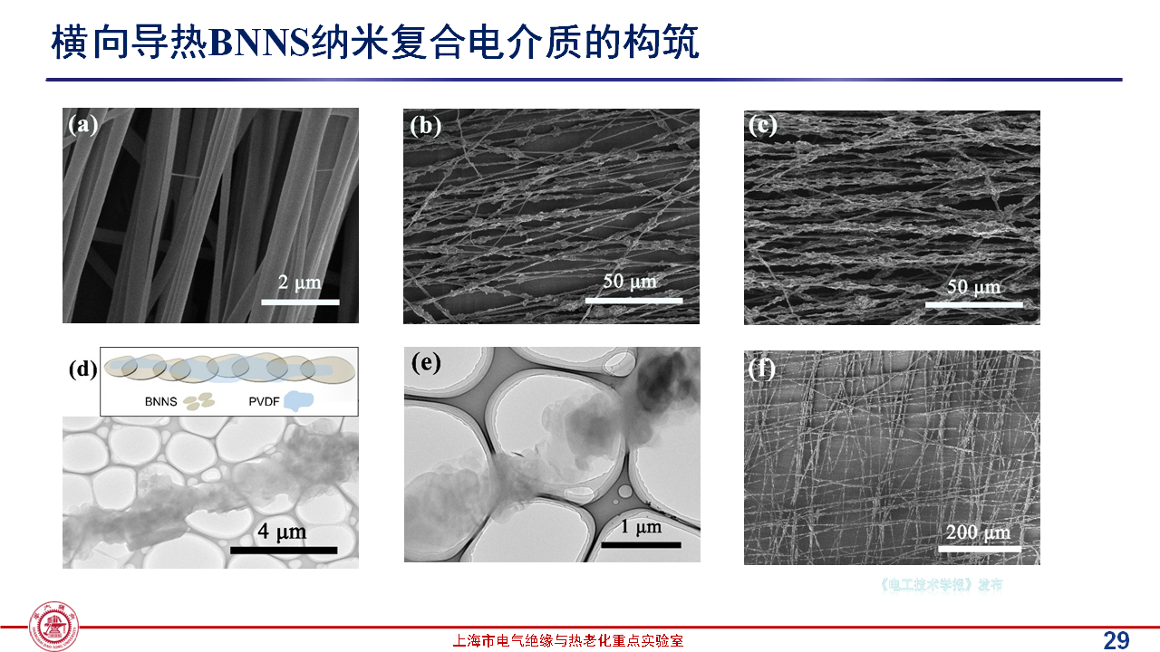 上海交通大学黄兴溢教授：导热绝缘复合电介质中的界面设计与实证