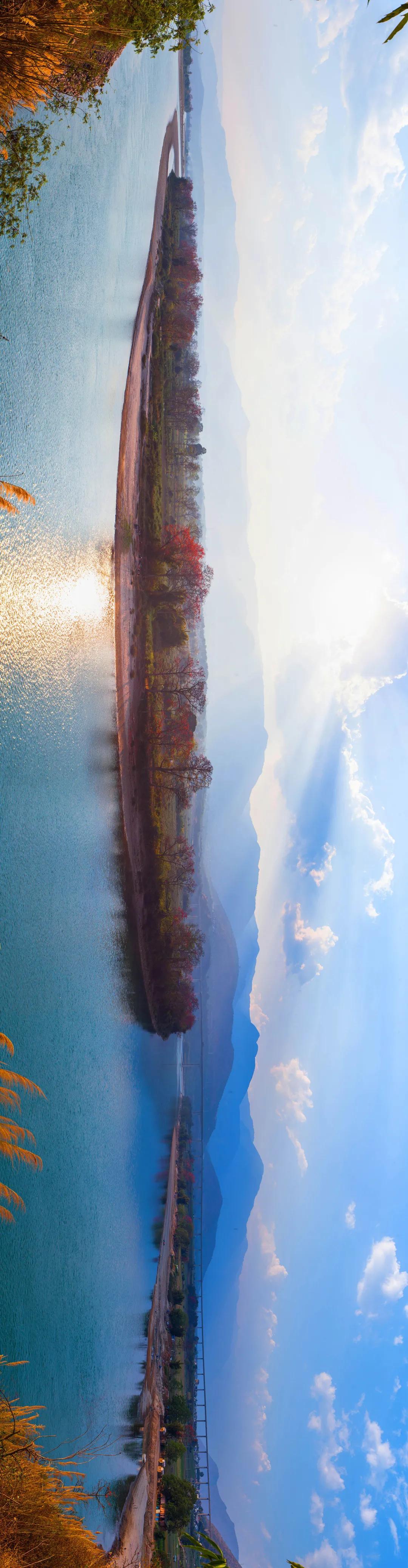 木棉|云南保山木棉花开 火红的木棉花沿江怒放在江水的映衬下格外夺目