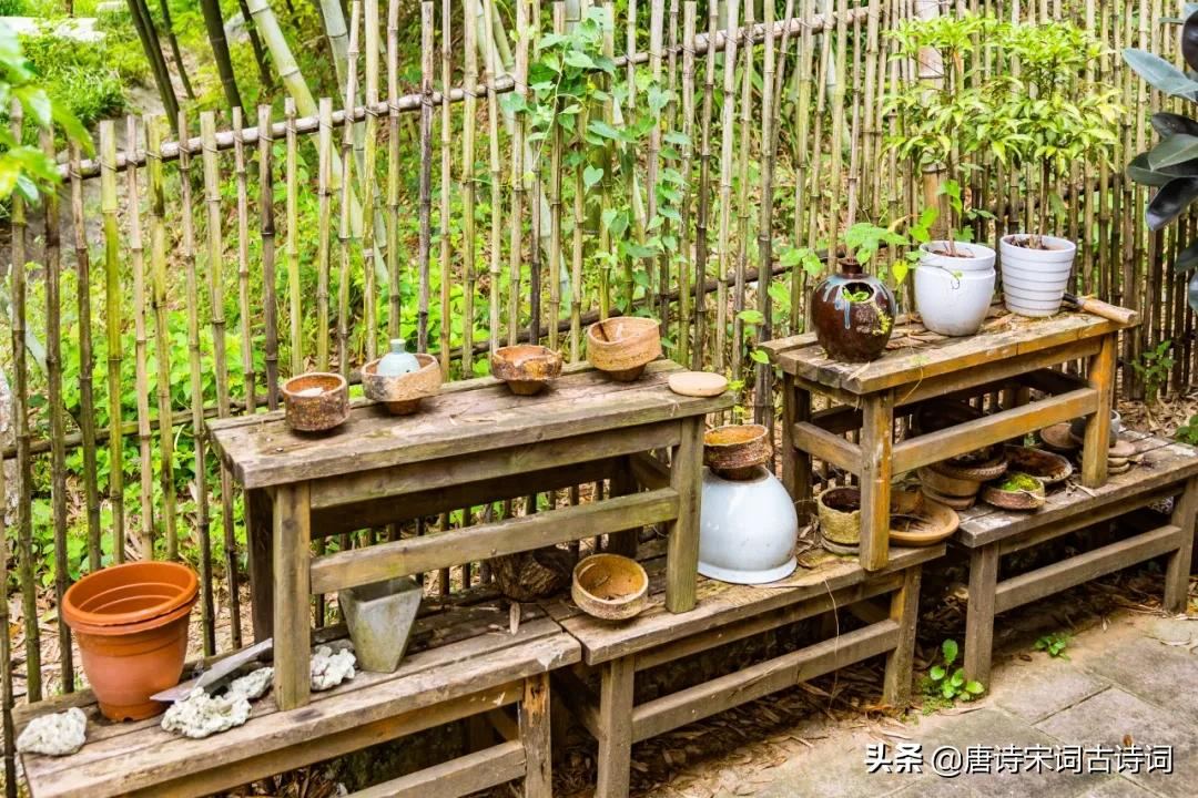 青山修竹矮篱笆,仿佛林泉隐者家-第4张图片-非凡网 青山修竹矮篱笆,仿佛林泉隐者家-第4张图片-非凡网