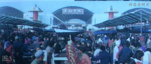 许昌长葛老照片：长葛公园，毛纺厂，百货楼，人民会堂，老奔马厂