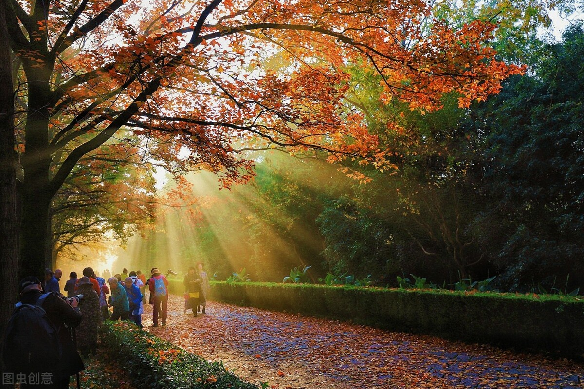 9月不可错过的这15处初秋美景，领略中国最美的秋色，美得不像话插图2