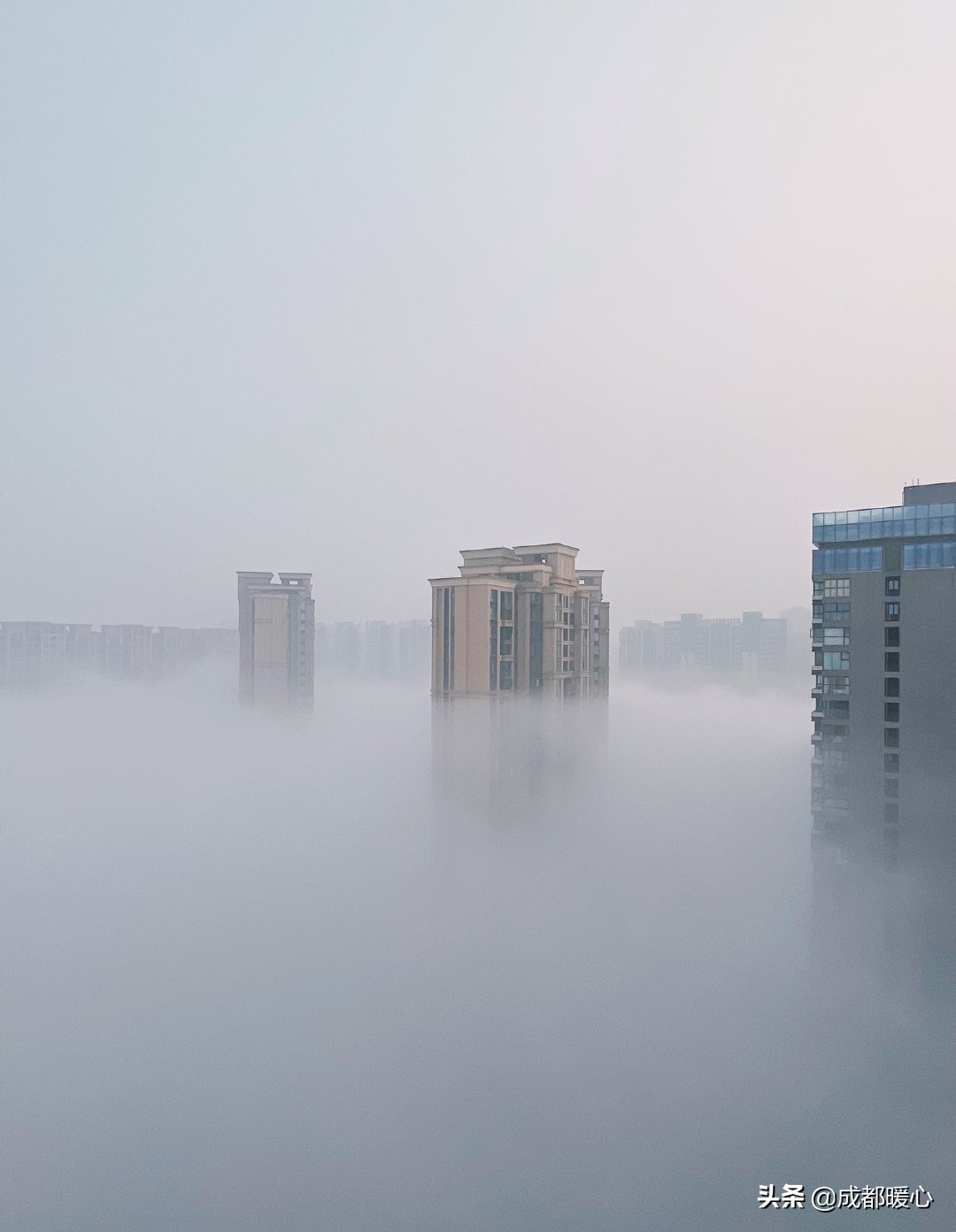 Atlas | Today's Chengdu suits Xiu Xian, big mist diffuses