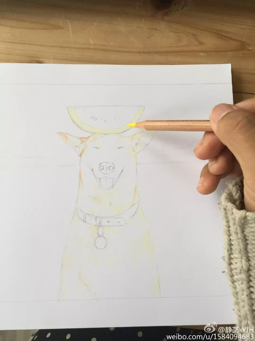 彩鉛動物入門教程｜可愛逗B狗(馬可帶色號)