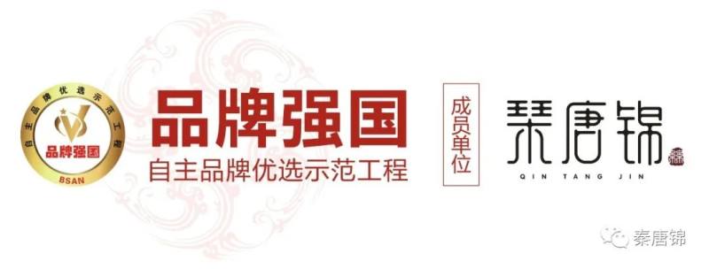 秦唐锦丝绸2020 琹唐锦黄金丝-帝锦 正式发布