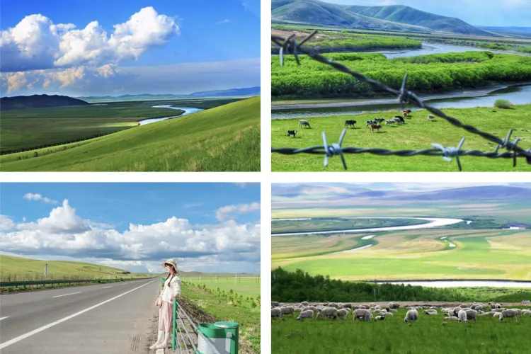 Repelling the scorching summer grassland paradise, Hulunbuir travels the most beautiful route, parent-child vacation praises