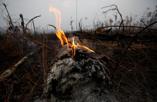 人类的贪婪开启了地球的报复模式，亚马逊大火正在烧掉地球之肺