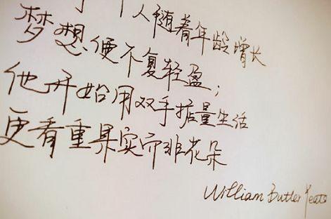 王珞丹书法被收录《笔尖上的中国》，是首位女