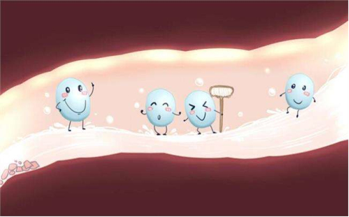 益生菌对人体无益？这说法可信吗？