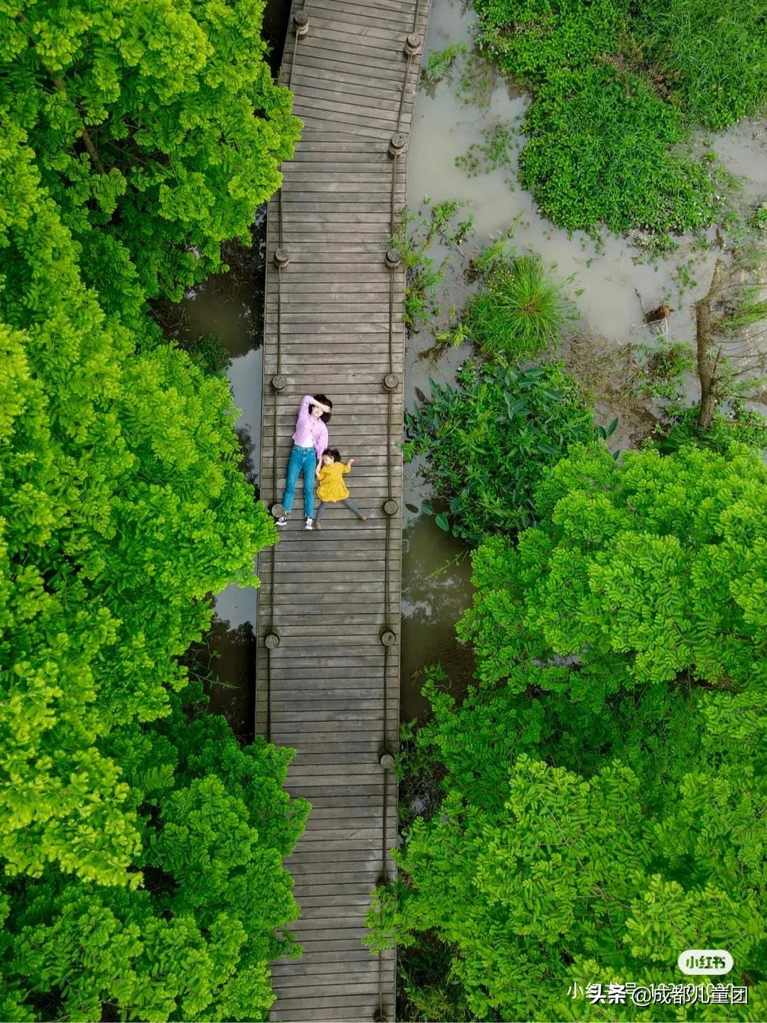 %title插图%num 成都周边藏着三个小众森林打卡地,溜娃、避暑、耍水齐活儿了