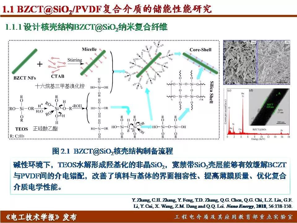 哈尔滨理工大学迟庆国：储能型聚合物基绝缘介质的效率与密度优化