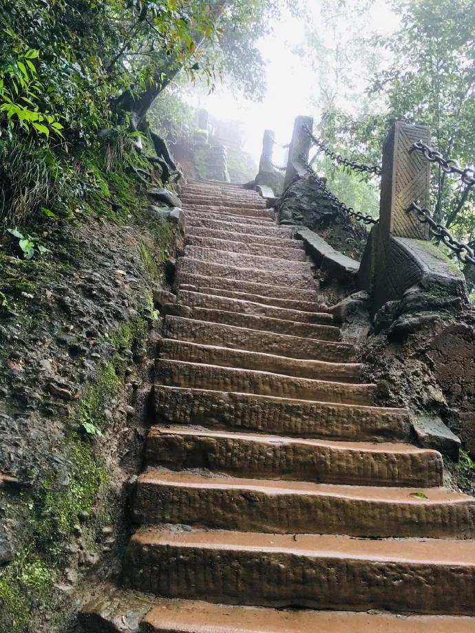 巴蜀“青城天下幽”易学问道青城山