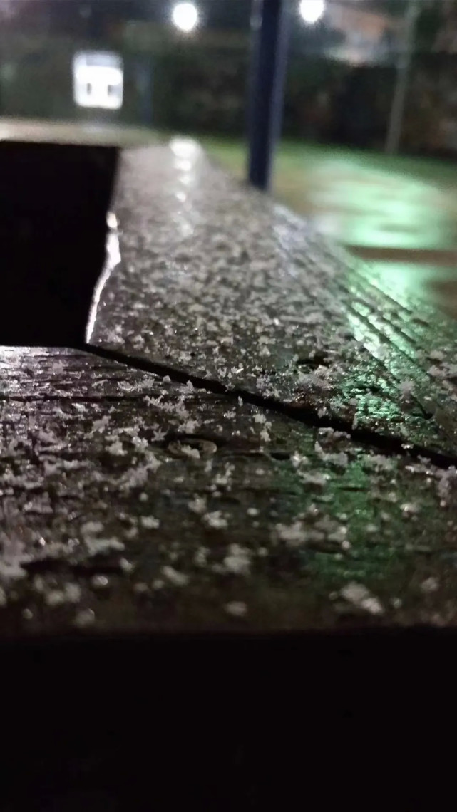 Ԫ������ȥ���棿��ͬ����Ӫ���һ���������ŵı���ѩ��