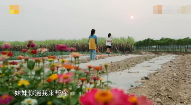 继谭松韵后，张子枫再遇知心大姐姐，两人互动