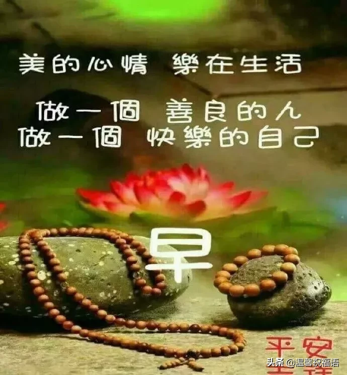 新版|正月十四新版早安问候图片鲜花带字，微信很暖心早安问候语录