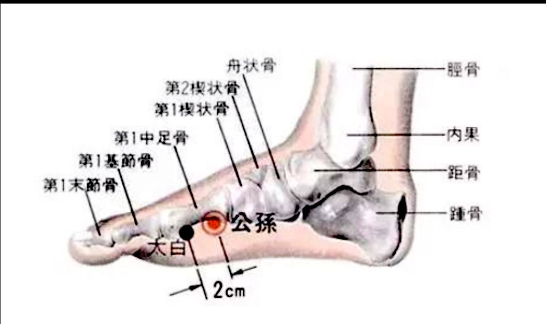 太极拳练功札记87 胯骨用功 资讯咖