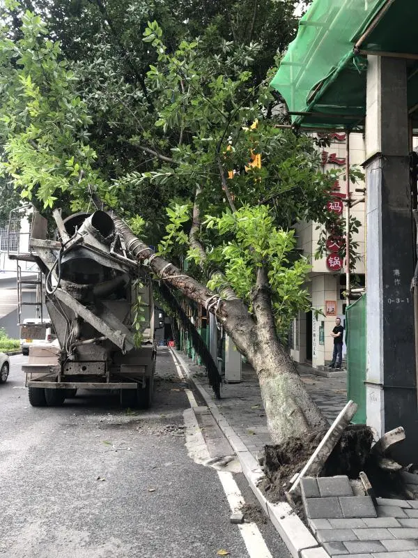 重庆|渝中警讯丨路边行道树被“连根拔起” “罪魁祸首”竟然是这辆罐装车