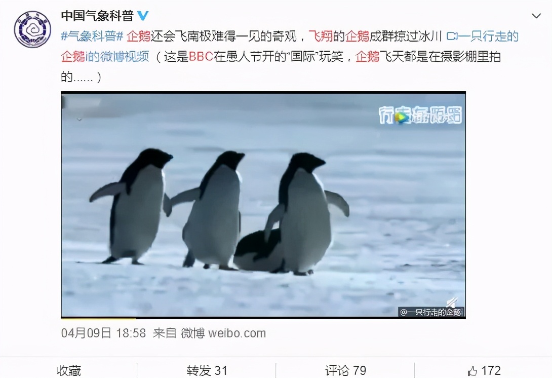 飞翔的企鹅成群掠过冰川？是真的吗？