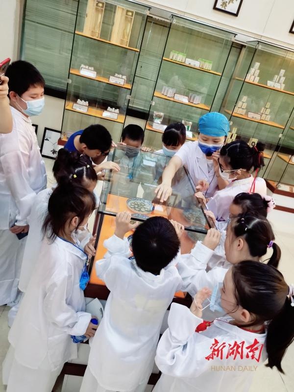尝药膳辨中药，家门口帮你找名医 湖南省直中医医院中医药文化节精彩纷呈