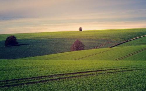 头条自媒体号怎么赚钱