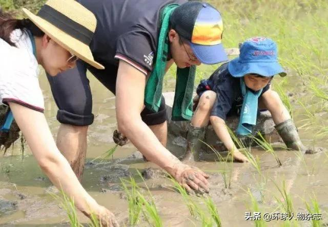 40岁郭晶晶重返“职场”，人生下半场，不止在豪门