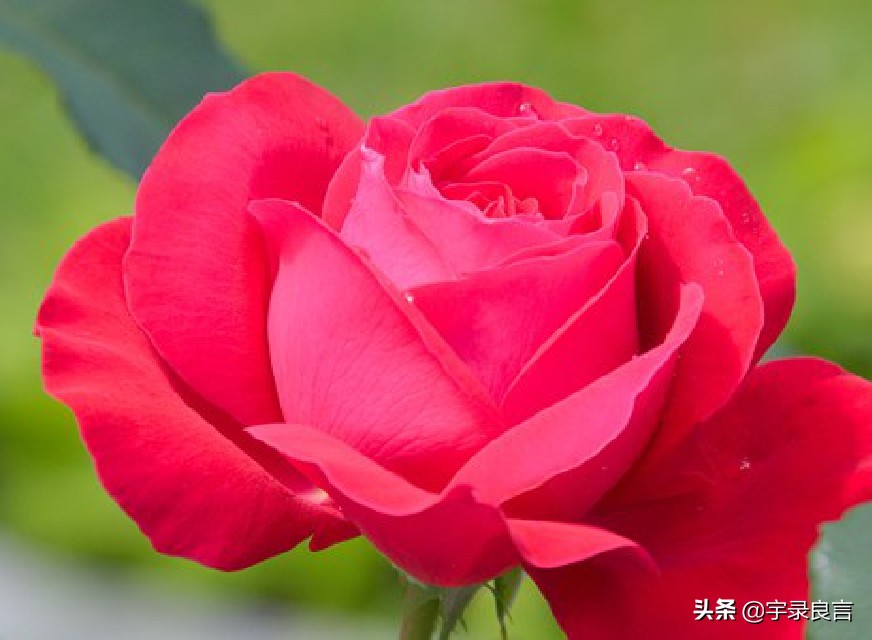 人生深奥哲理感悟句子图片