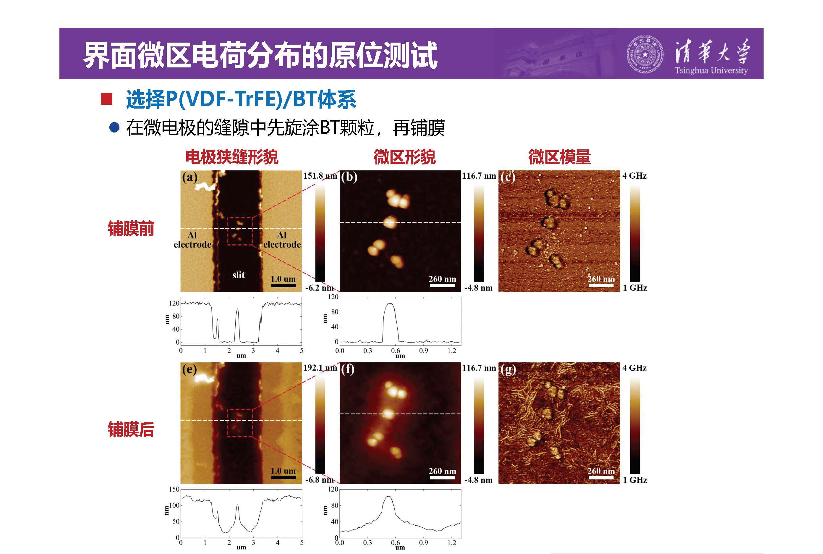 清华大学李琦副教授：介电纳米复合材料界面微区的原位测试技术