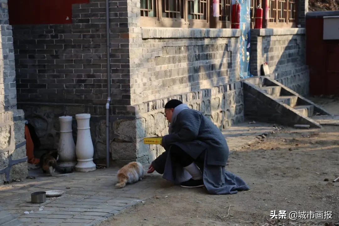 每个都市青年，都很需要「隐性治愈时间」