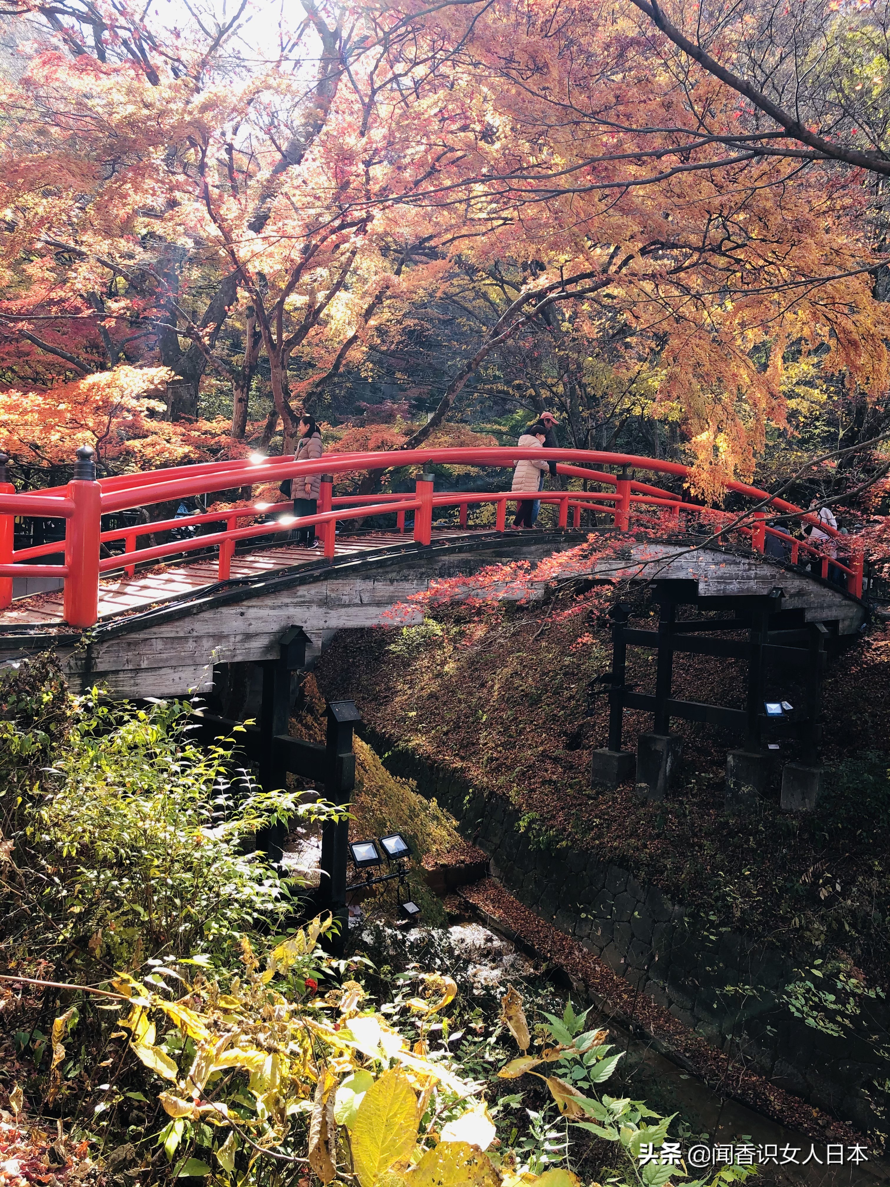 群马县三大名汤之一的伊香保温泉 其中河鹿桥是红叶最佳旅游地点 全网搜