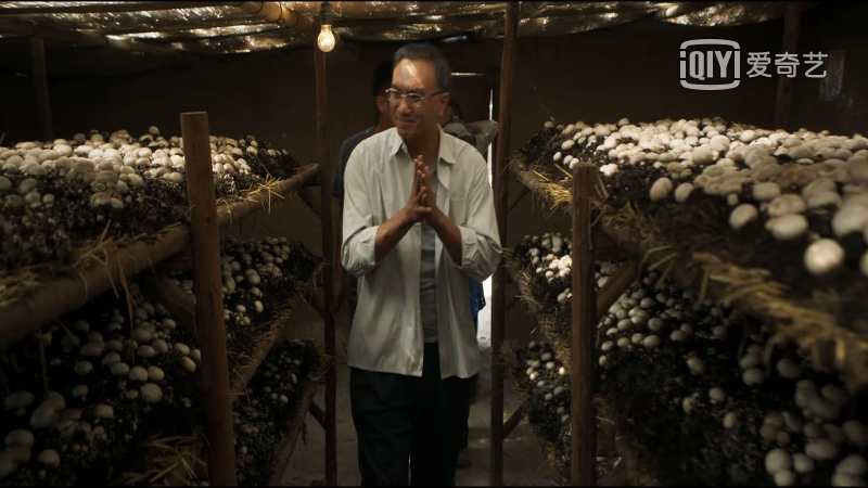 专家|山海情：菌草专家凌一农教授让人感动 角色原型真了不起