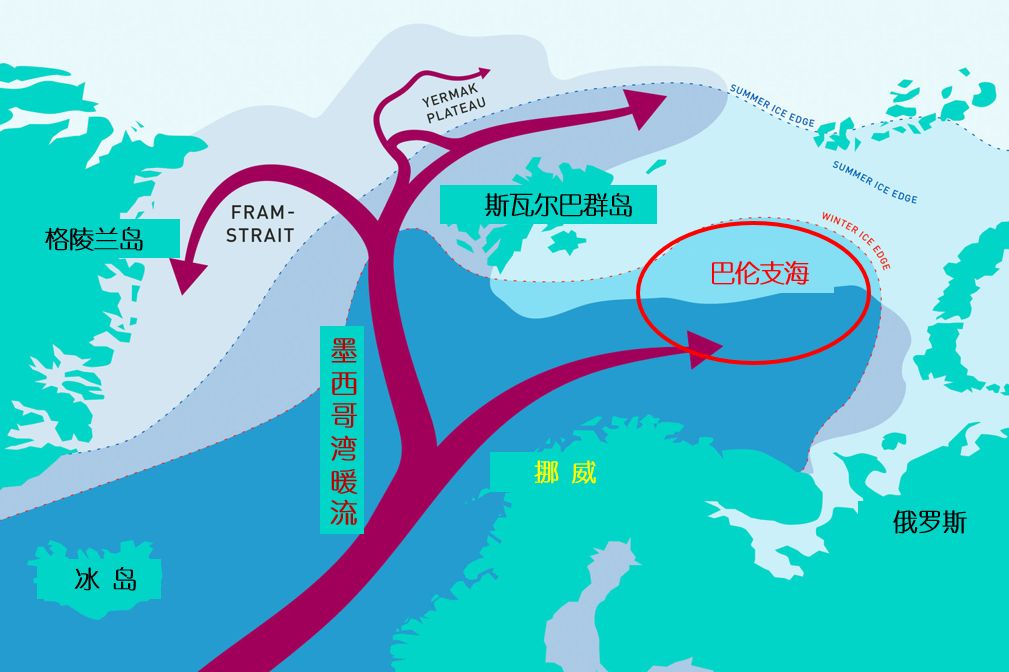 从鳕鱼到北极虾，纽芬兰的“王牌海鲜”是如何跌落神坛的？