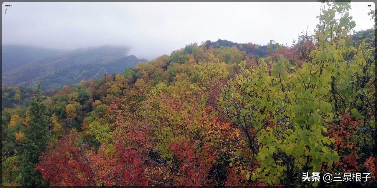 秋天兰州南部大山深处层林尽染景色如诗如画