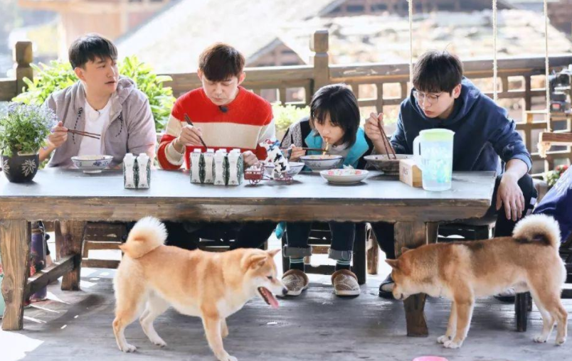 《向往的生活5》开录，张艺兴新鲜加盟，路透画