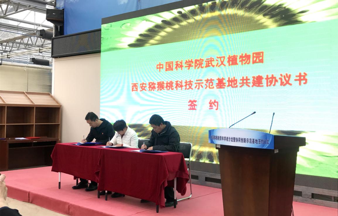 中国猕猴桃青年学者沙龙暨协同创新示范基地建设签约仪式成功举行