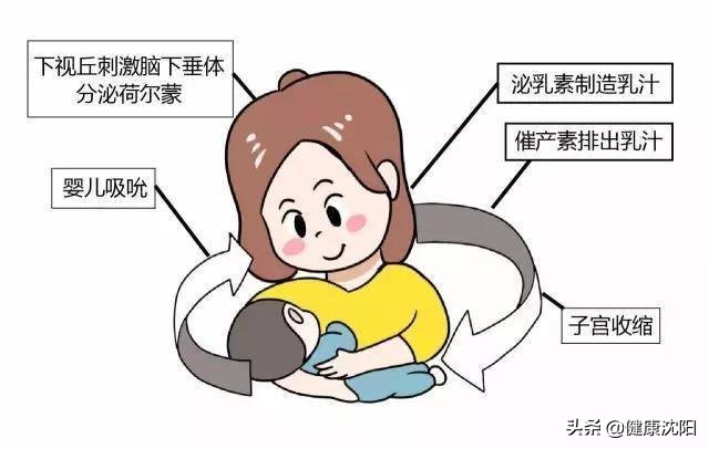 健康知识普及行动系列科普知识讲座之妇幼保健篇