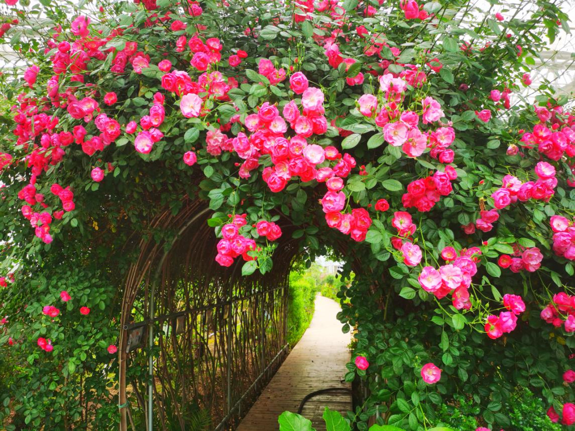 �ԷǷ��¾�ƽ������δ��Ϊ����ʦ������3000Ķ��ѧ���Ͷ���������